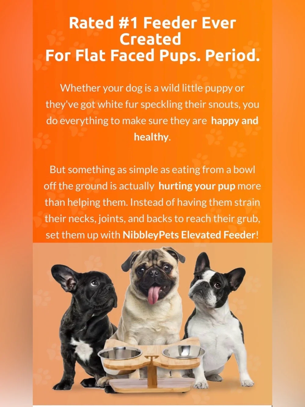 🐶🥣 NibbleyPets Elevated Dog Bowl Stand with Stainless Steel Bowls – 3-Piece Set